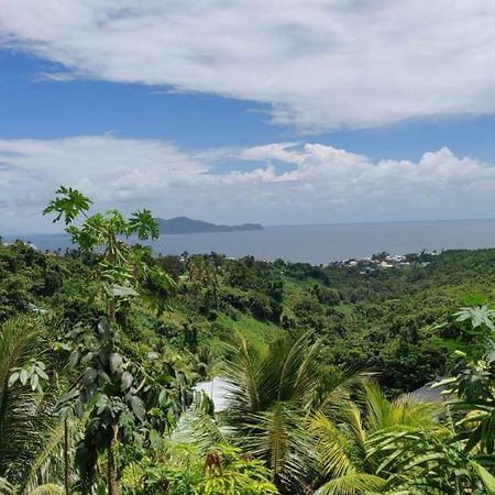 Trois-RivièresEscale Caraibesアパートメント エクステリア 写真