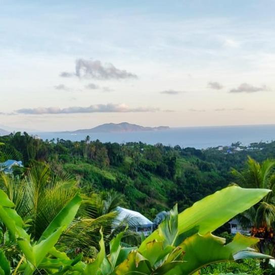 Trois-RivièresEscale Caraibesアパートメント エクステリア 写真